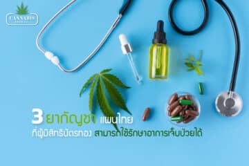 3 ยากัญชาแผนไทย ที่ผู้มีสิทธิบัตรทองสามารถใช้รักษาอาการเจ็บป่วยได้