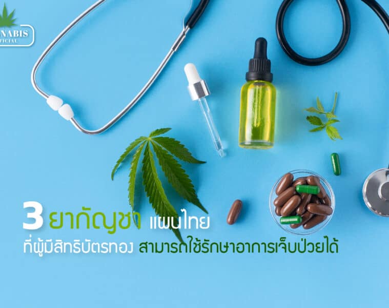 3 ยากัญชาแผนไทย ที่ผู้มีสิทธิบัตรทองสามารถใช้รักษาอาการเจ็บป่วยได้